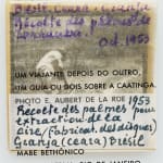 Mabe Bethônico, Um viajante depois do outro V