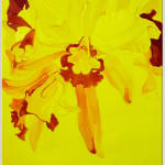 Flavia Bertinato, Sem Título - Serie Vento Forte, 2010