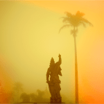 João Castilho, Serie Lote Vago , 2007