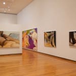 Joan Semmel, Transitions, 2012