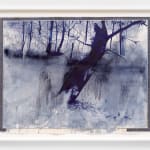 Ricardo Brey, The Leaves, 2024