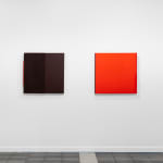 Donald Moffett, Lot 020425 (the probe, A), 2025