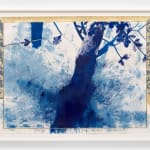 Ricardo Brey, The Leaves, 2024