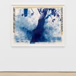 Ricardo Brey, The Leaves, 2024