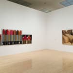 Joan Semmel, Transitions, 2012