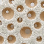 Steve Locke, The Blue Sweater, 2006