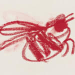 B.D. Graft, Pollinators, 2022