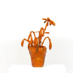 Tom Volkaert, Forever Wilted, 2023