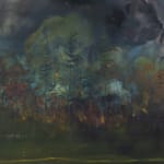 Bram Kinsbergen, They would never find the same place again, 2023