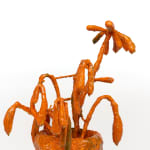 Tom Volkaert, Forever Wilted, 2023