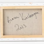 Bram Kinsbergen, The only image I kept after our honeymoon, 2023