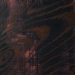 Bram Kinsbergen, big cats studies (02) , 2022