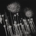 Tamiko Nishimura, Shikishima – Asahikawa, Hokkaido, 1972