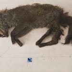 Thumbnail of additional image