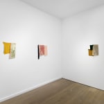 Lydia Gifford, Untitled (sensitive fibres), 2023