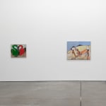 Rosalind Nashashibi, Intersecting swans, 2024