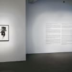 Lynn Hershman Leeson, Reach, 1986