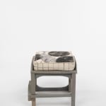 Chris Johanson, Johanna Jackson, Chair, 2019