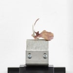 Grant Mooney, Eutectic c. (i), 2020