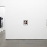 Lynn Hershman Leeson, Sorry! But ----ou are way tooooooo old for me, babe@@@@!!!, 2025