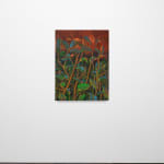 Didier William, Jumpseed, Redseed, 2024