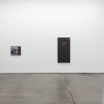 Lynn Hershman Leeson, Sudden Death, 2025