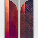 Sara VanDerBeek, From the Means of Reproduction, 2007