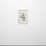 Didier William, Cypress 3, 2024