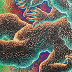 Didier William, Joy is Flight, 2023