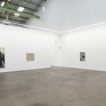 Xiaochi Dong, Dungeness Moss, 2025