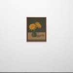Laeh Glenn, Daisies, 2025