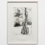 Didier William, Cypress 1, 2024