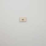 Grant Mooney, Cation c. (v), 2024