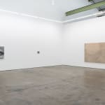 Victoria Gitman, On Display, 2010