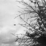 Trevor Paglen, Near Dutch Lane (undated), 2024