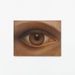 Rodolfo Abularach, Artio, 1984