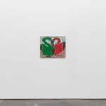 Rosalind Nashashibi, Intersecting swans, 2024