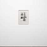 Didier William, Cypress 1, 2024