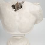 Fred Wilson, Untitled (Bust), 1992-2000