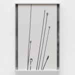 Sara VanDerBeek, The Garden, 2023