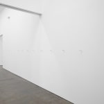 Grant Mooney, Partials i-xvi, 2021
