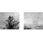 Trevor Paglen, Near Dutch Lane (undated), 2024