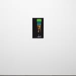 Lynn Hershman Leeson, Manipulation of Time, 2025
