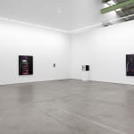 Lynn Hershman Leeson, Home Companions, 2025