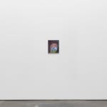 Rosalind Nashashibi, Hairnet and Hyacinths, 2024