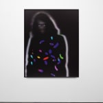 Lynn Hershman Leeson, Home Companions, 2025