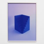 Sara VanDerBeek, From the Means of Reproduction, 2007