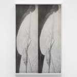 Sara VanDerBeek, Mirrored, 2023