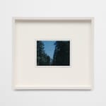 Trevor Paglen, Near Big Bend Road (undated), 2024