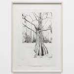 Didier William, Cypress 3, 2024